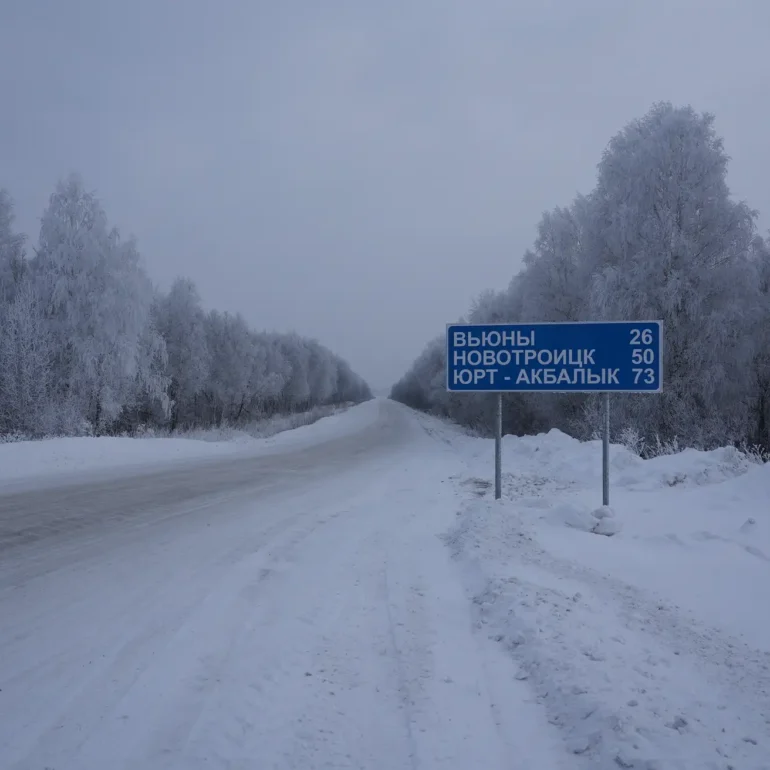 Snow-covered winter landscape in Siberia, Russia, captured beneath the soft light of a cold winter day.