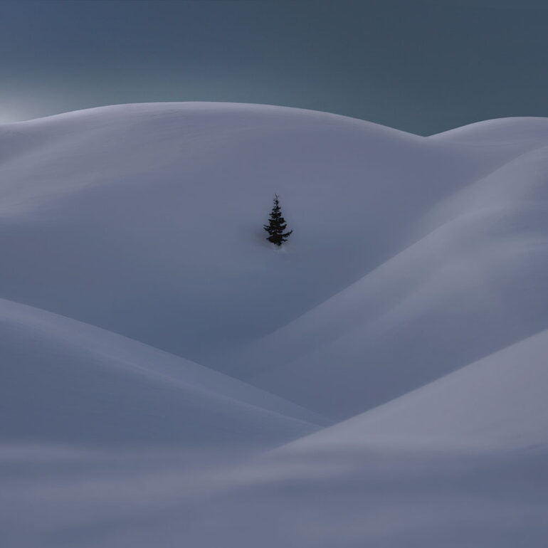 A lone alpine tree surrounded by wind-shaped snow drifts during the blue hour at Passo Giau in the Italian Dolomites.