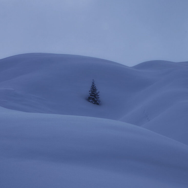 A lone alpine tree surrounded by wind-shaped snow drifts in a minimalist winter landscape at Passo Giau in the Italian Dolomites.