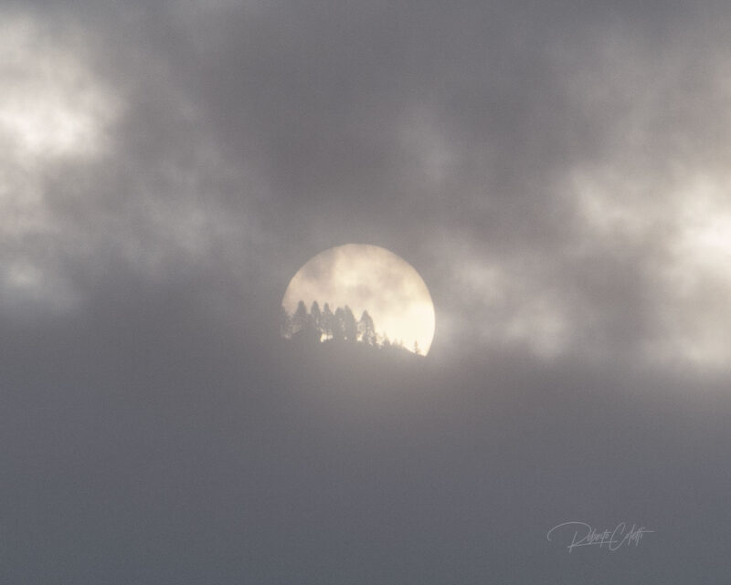 The rising sun shining through breaking clouds above silhouetted trees surrounded by morning mist in a fine art landscape.