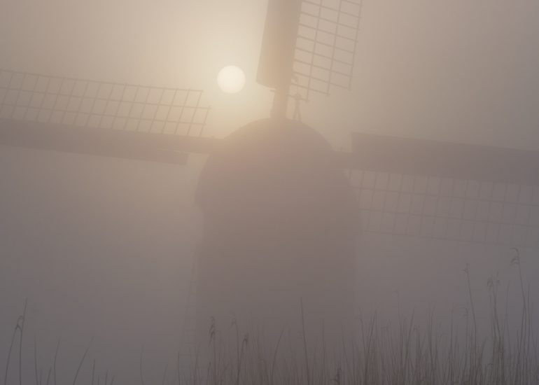 broekmolena7302246 f