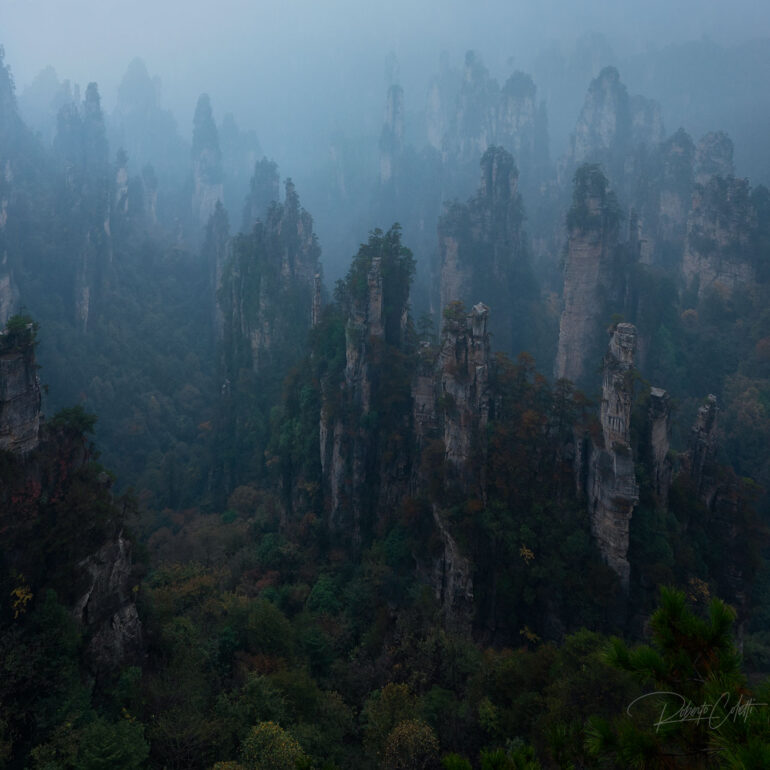 Panoramic view of the sandstone pillars of Zhangjiajie National Forest Park rising through winter mist in Hunan, China.