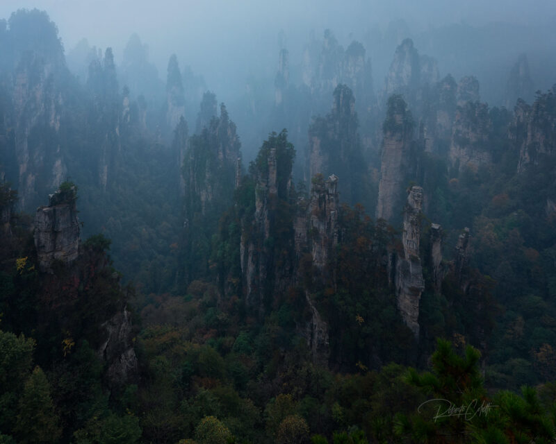 Panoramic view of the sandstone pillars of Zhangjiajie National Forest Park rising through winter mist in Hunan, China.