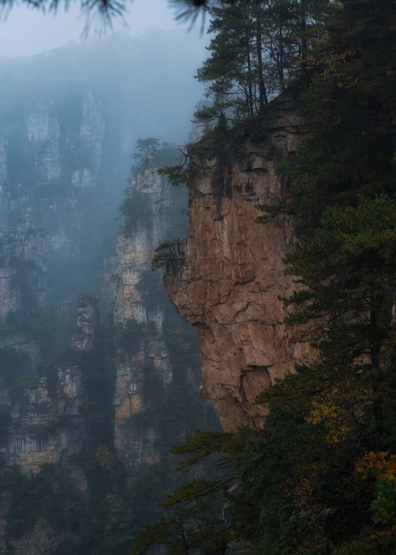Towering sandstone pillars rising through a sea of winter mist in Zhangjiajie National Forest Park, Hunan, China.