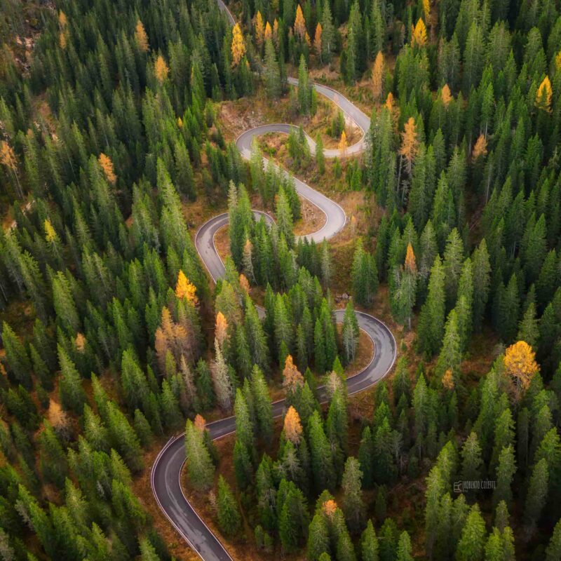 The winding mountain road of Passo Giau weaving through alpine forests in the UNESCO-listed Dolomites, Italy.