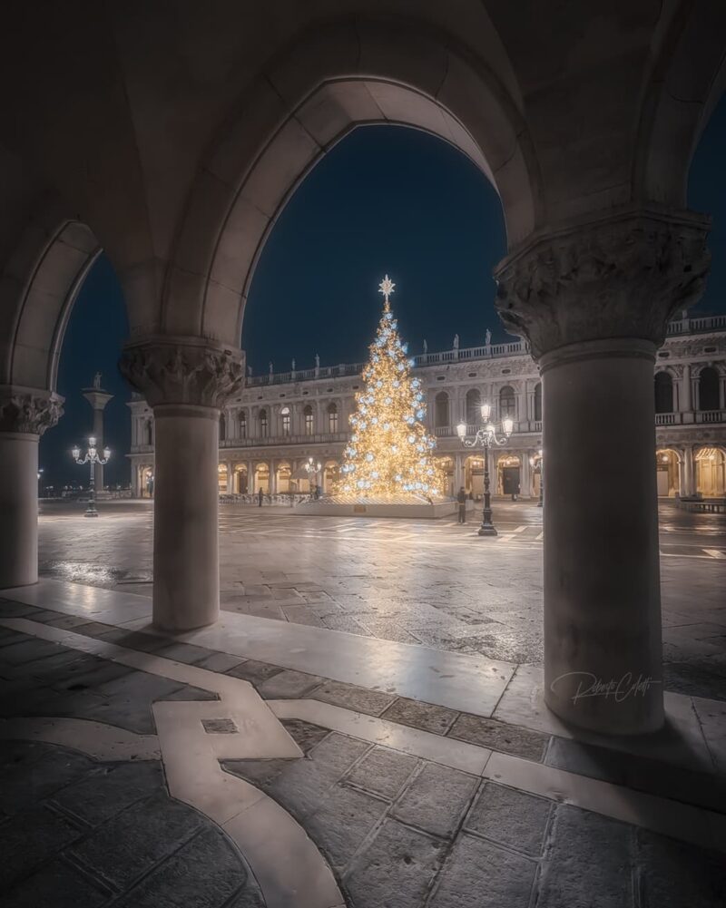 The Christmas tree standing in St. Marco