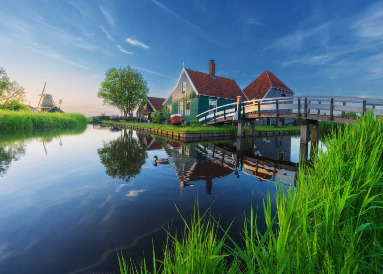 Unnamed File 770x550