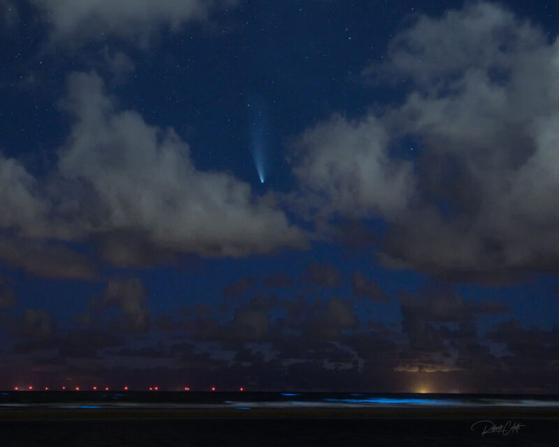 Netherlands Katwijk Neowise Comet Bioluminescence Night 800x640