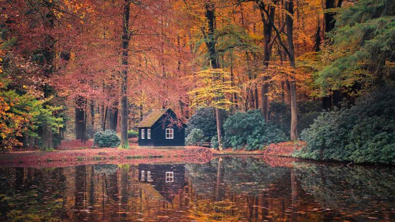 Netherlands Paleis Het Loo Black Pavilion Autumn 800x450