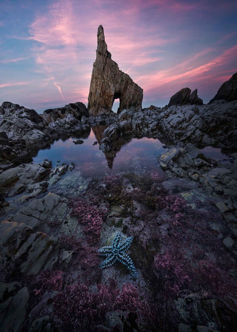 A starfish trapped in a rocky tidal pool at low tide during a colorful sunset on the coast of Galicia, Spain.