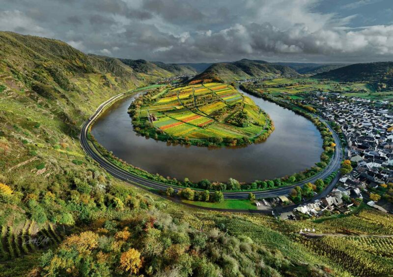 The winding Moselle River surrounded by colourful autumn vineyards in Germany