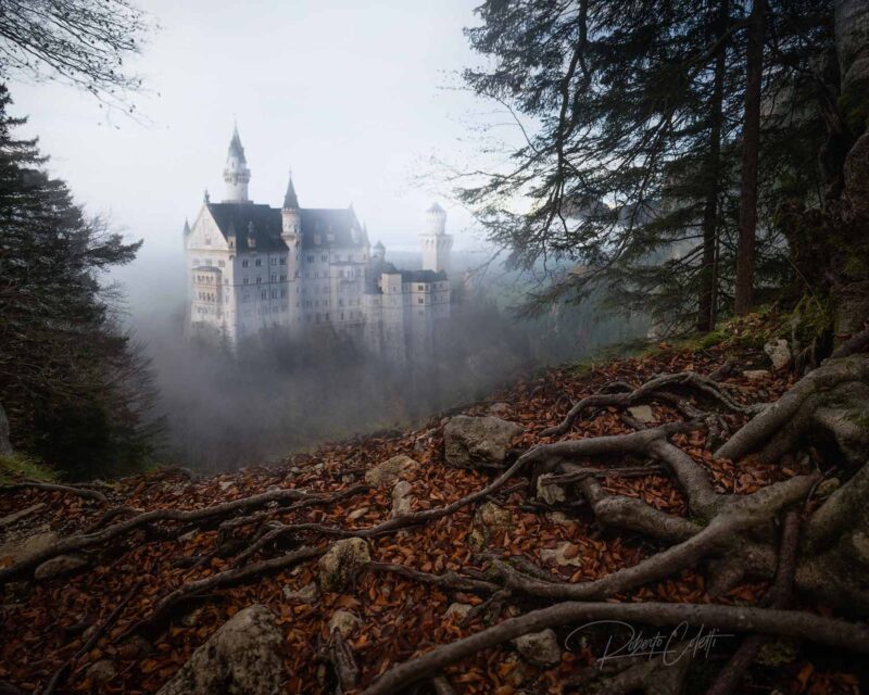Neuschwanstein Castle surrounded by colorful autumn forest and drifting fog during a misty evening in Bavaria, Germany.