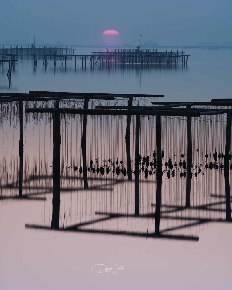 Golden sunset over the Sacca degli Scardovari in the Po Delta, with calm lagoon waters reflecting the vibrant colours of the sky in Italy.
